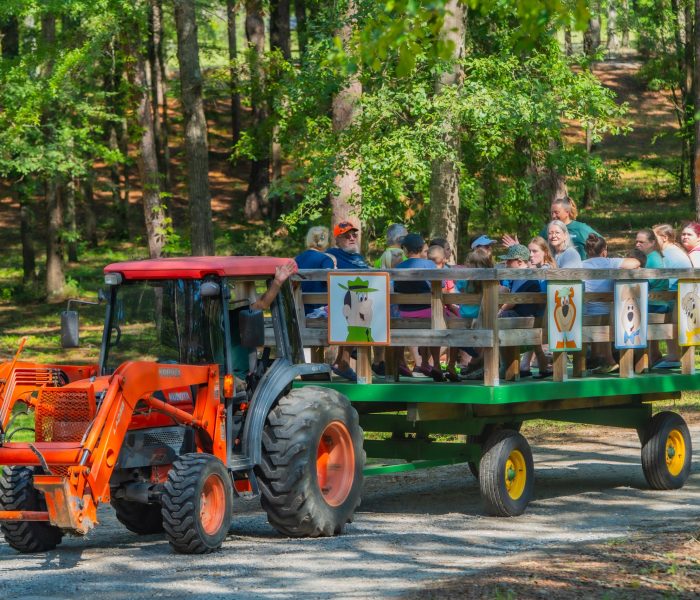 jellystone-cochran-ga-tractor-wagon-ride-wooded-path